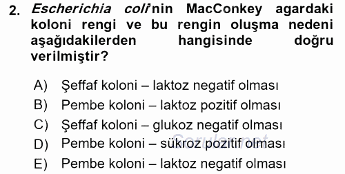 Veteriner Mikrobiyoloji ve Epidemiyoloji 2015 - 2016 Tek Ders Sınavı 2.Soru