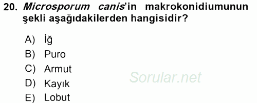 Veteriner Mikrobiyoloji ve Epidemiyoloji 2015 - 2016 Tek Ders Sınavı 20.Soru