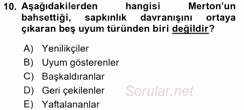 Sosyal Sorunlar 2015 - 2016 Tek Ders Sınavı 10.Soru