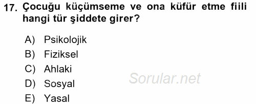 Sosyal Sorunlar 2015 - 2016 Tek Ders Sınavı 17.Soru
