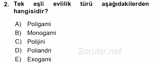 Sosyal Sorunlar 2015 - 2016 Tek Ders Sınavı 2.Soru