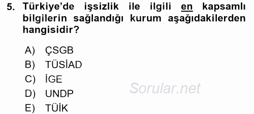 Sosyal Sorunlar 2015 - 2016 Tek Ders Sınavı 5.Soru