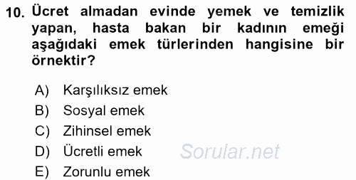 Toplumsal Cinsiyet Çalışmaları 2015 - 2016 Ara Sınavı 10.Soru