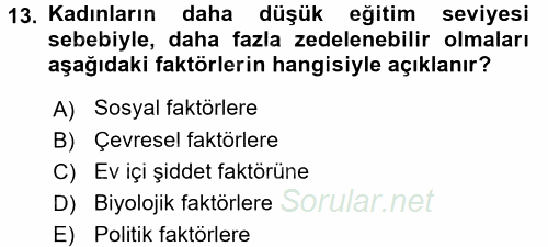 Toplumsal Cinsiyet Çalışmaları 2015 - 2016 Ara Sınavı 13.Soru