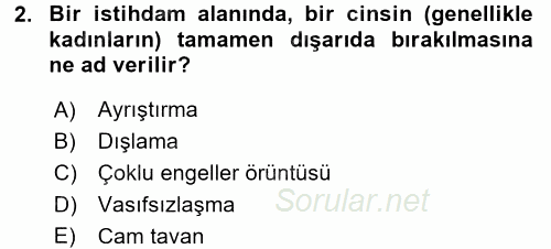 Toplumsal Cinsiyet Çalışmaları 2015 - 2016 Ara Sınavı 2.Soru