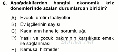 Toplumsal Cinsiyet Çalışmaları 2015 - 2016 Ara Sınavı 6.Soru