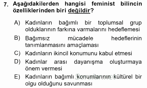 Toplumsal Cinsiyet Çalışmaları 2015 - 2016 Ara Sınavı 7.Soru