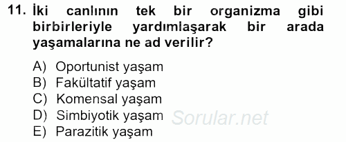 Temel Veteriner Mikrobiyoloji ve İmmünoloji 2013 - 2014 Tek Ders Sınavı 11.Soru