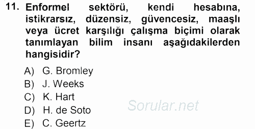 Ekonomi Sosyolojisi 2012 - 2013 Ara Sınavı 11.Soru