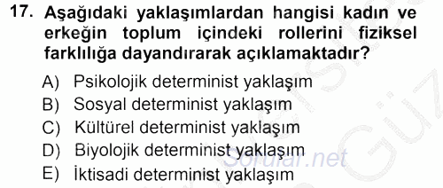 Ekonomi Sosyolojisi 2012 - 2013 Ara Sınavı 17.Soru