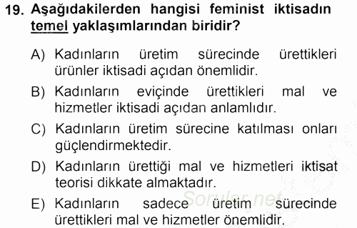 Ekonomi Sosyolojisi 2012 - 2013 Ara Sınavı 19.Soru