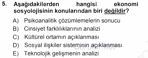 Ekonomi Sosyolojisi 2012 - 2013 Ara Sınavı 5.Soru