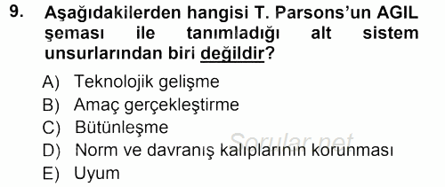 Ekonomi Sosyolojisi 2012 - 2013 Ara Sınavı 9.Soru