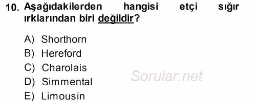 Hayvan Yetiştirme 2014 - 2015 Tek Ders Sınavı 10.Soru