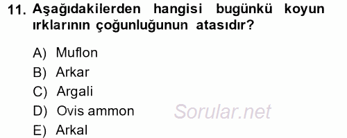 Hayvan Yetiştirme 2014 - 2015 Tek Ders Sınavı 11.Soru