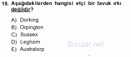 Hayvan Yetiştirme 2014 - 2015 Tek Ders Sınavı 15.Soru