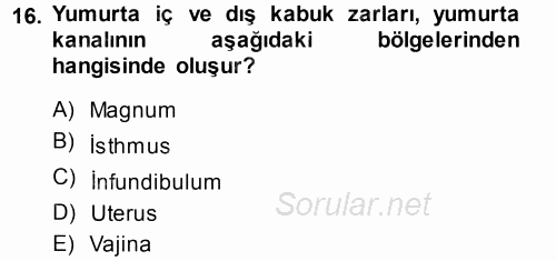 Hayvan Yetiştirme 2014 - 2015 Tek Ders Sınavı 16.Soru