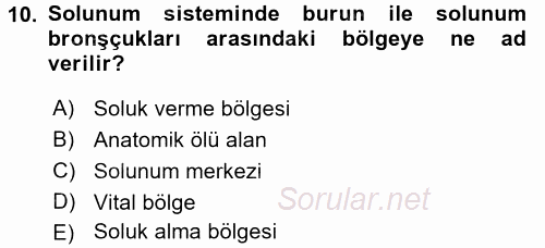 İnsan Beden Yapısı Ve Fizyolojisi 2016 - 2017 3 Ders Sınavı 10.Soru