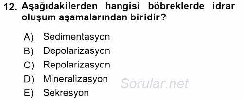 İnsan Beden Yapısı Ve Fizyolojisi 2016 - 2017 3 Ders Sınavı 12.Soru