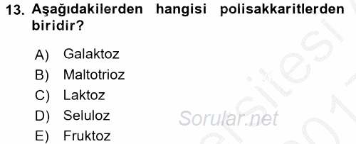 İnsan Beden Yapısı Ve Fizyolojisi 2016 - 2017 3 Ders Sınavı 13.Soru
