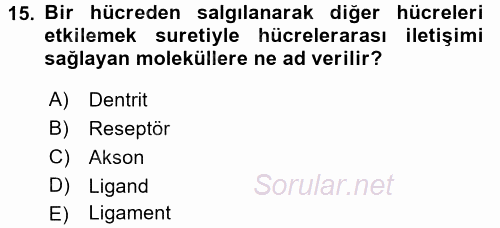 İnsan Beden Yapısı Ve Fizyolojisi 2016 - 2017 3 Ders Sınavı 15.Soru