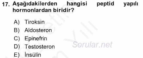 İnsan Beden Yapısı Ve Fizyolojisi 2016 - 2017 3 Ders Sınavı 17.Soru