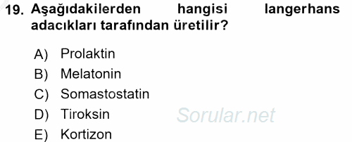 İnsan Beden Yapısı Ve Fizyolojisi 2016 - 2017 3 Ders Sınavı 19.Soru