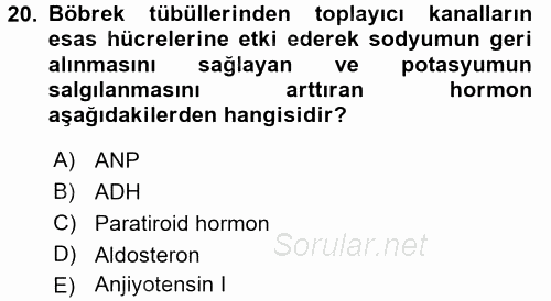 İnsan Beden Yapısı Ve Fizyolojisi 2016 - 2017 3 Ders Sınavı 20.Soru