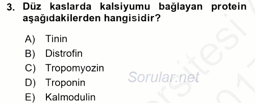 İnsan Beden Yapısı Ve Fizyolojisi 2016 - 2017 3 Ders Sınavı 3.Soru