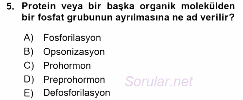 İnsan Beden Yapısı Ve Fizyolojisi 2016 - 2017 3 Ders Sınavı 5.Soru