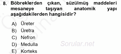 İnsan Beden Yapısı Ve Fizyolojisi 2016 - 2017 3 Ders Sınavı 8.Soru