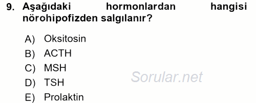 İnsan Beden Yapısı Ve Fizyolojisi 2016 - 2017 3 Ders Sınavı 9.Soru