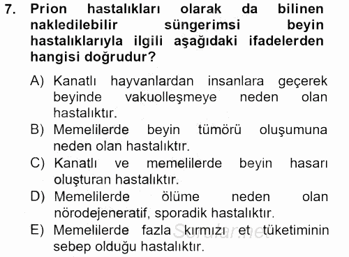 Gıda Güvenliğinin Temel Prensipleri 2012 - 2013 Ara Sınavı 7.Soru