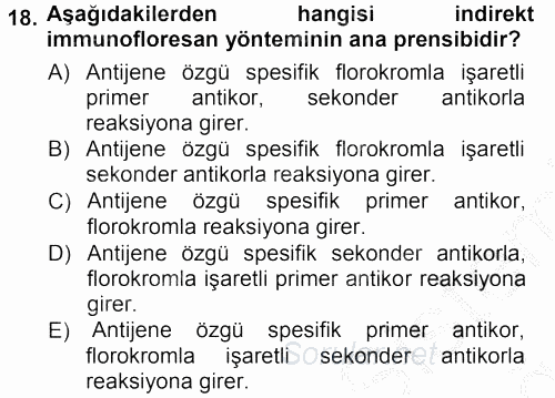 Temel Veteriner Patoloji 2012 - 2013 Ara Sınavı 18.Soru