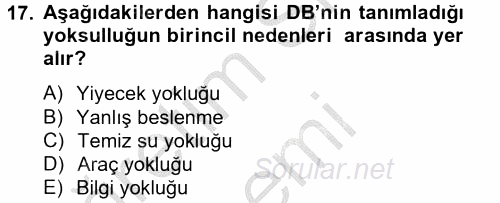 Ekonominin Güncel Sorunları 2012 - 2013 Ara Sınavı 17.Soru