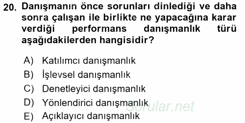 Performans ve Kariyer Yönetimi 2017 - 2018 Ara Sınavı 20.Soru