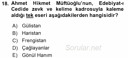 II. Abdülhamit Dönemi Türk Edebiyatı 2016 - 2017 Ara Sınavı 18.Soru