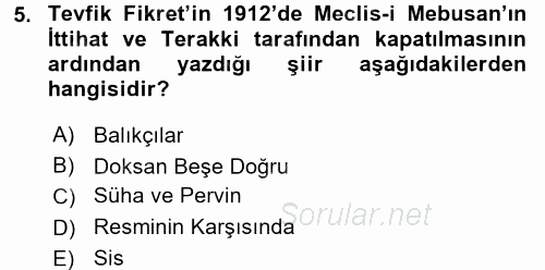 II. Abdülhamit Dönemi Türk Edebiyatı 2016 - 2017 Ara Sınavı 5.Soru