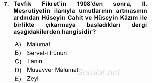 II. Abdülhamit Dönemi Türk Edebiyatı 2016 - 2017 Ara Sınavı 7.Soru