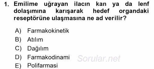 Yaşlılarda Görülebilecek Sorunlar Ve Bakım Hizmetleri 2017 - 2018 Dönem Sonu Sınavı 1.Soru