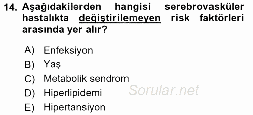 Yaşlılarda Görülebilecek Sorunlar Ve Bakım Hizmetleri 2017 - 2018 Dönem Sonu Sınavı 14.Soru