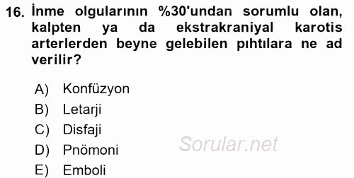 Yaşlılarda Görülebilecek Sorunlar Ve Bakım Hizmetleri 2017 - 2018 Dönem Sonu Sınavı 16.Soru