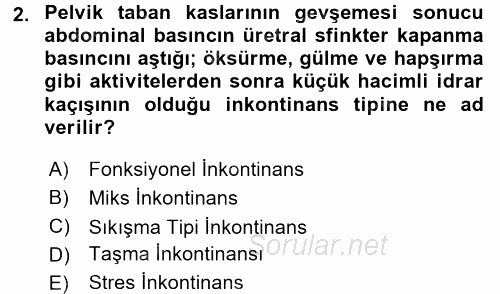 Yaşlılarda Görülebilecek Sorunlar Ve Bakım Hizmetleri 2017 - 2018 Dönem Sonu Sınavı 2.Soru
