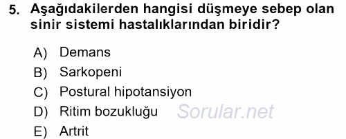 Yaşlılarda Görülebilecek Sorunlar Ve Bakım Hizmetleri 2017 - 2018 Dönem Sonu Sınavı 5.Soru