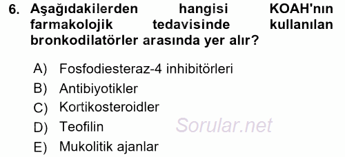 Yaşlılarda Görülebilecek Sorunlar Ve Bakım Hizmetleri 2017 - 2018 Dönem Sonu Sınavı 6.Soru