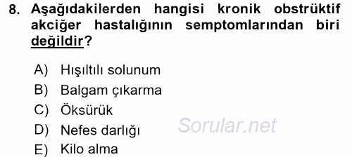 Yaşlılarda Görülebilecek Sorunlar Ve Bakım Hizmetleri 2017 - 2018 Dönem Sonu Sınavı 8.Soru