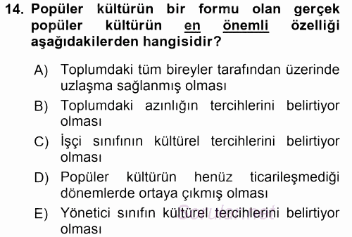 Medya Siyaset Kültür 2016 - 2017 Dönem Sonu Sınavı 14.Soru