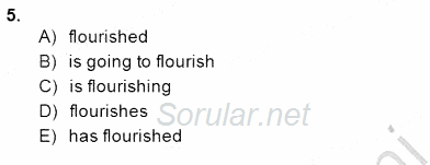 Pedagojik Gramer 2 2014 - 2015 Ara Sınavı 5.Soru