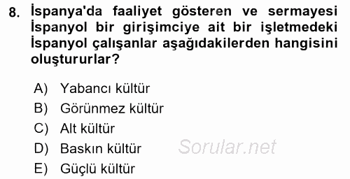 Stratejik Yönetim 1 2016 - 2017 Dönem Sonu Sınavı 8.Soru