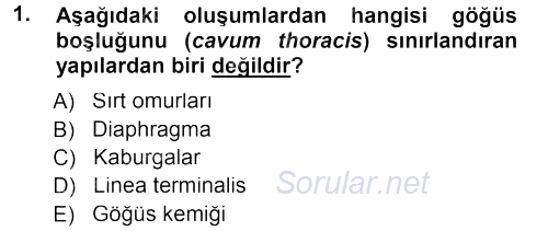 Temel Veteriner Anatomi 2012 - 2013 Dönem Sonu Sınavı 1.Soru
